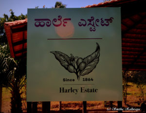 harley estate